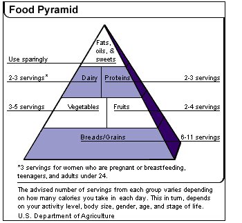 Food Pyramid Food Pyramid