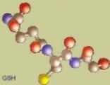 glutathione molecule