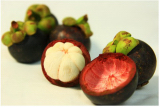 mangosteen fruit