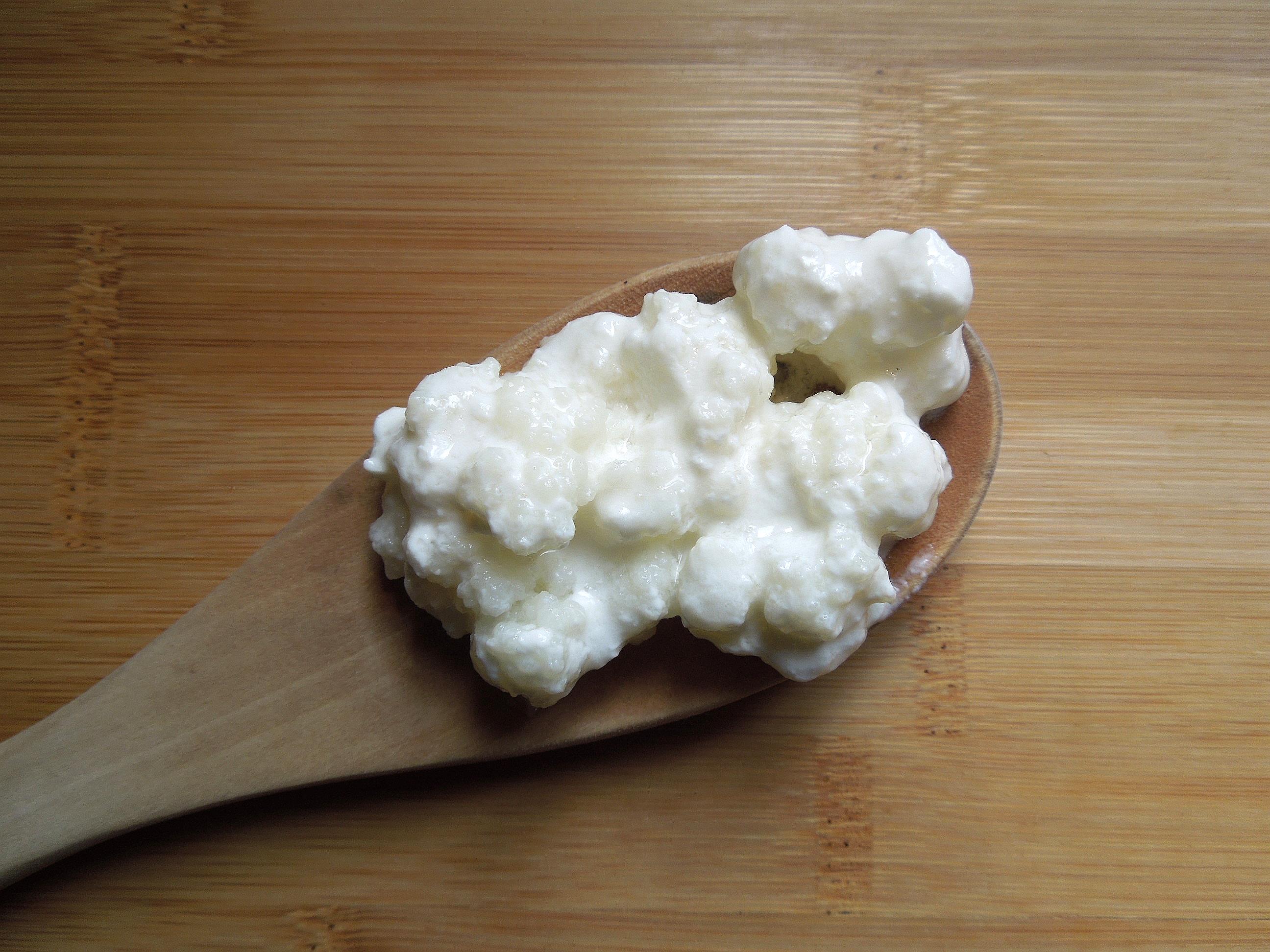 milk kefir grains