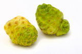 noni fruit