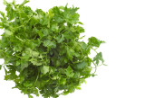 parsley