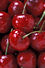tart cherries