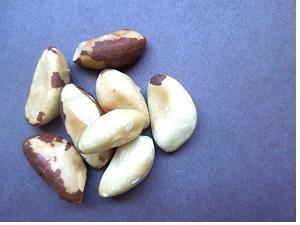 brazil nuts