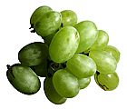 green grapes