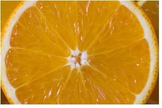 Orange slice